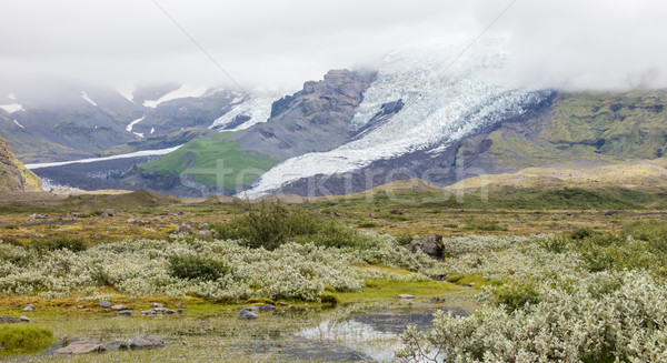 Iceland in the summer Stock photo © michaklootwijk
