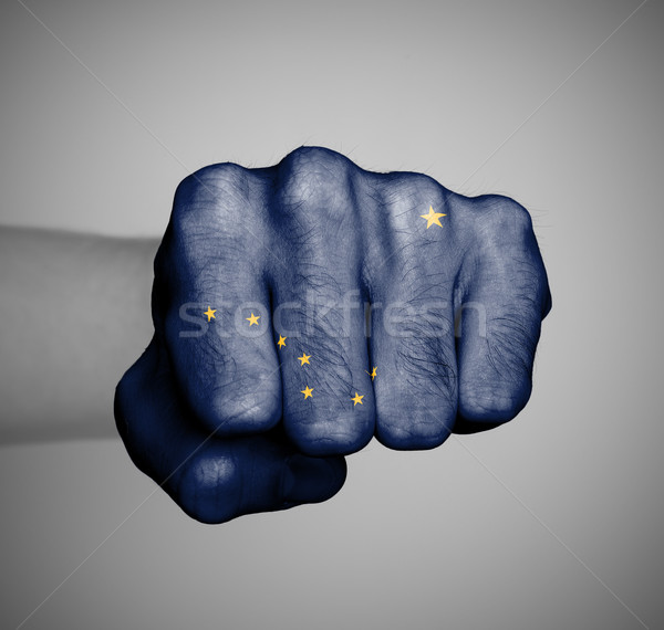 United states, fist with the flag of a state Stock photo © michaklootwijk