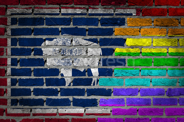 Dark brick wall - LGBT rights - Wyoming Stock photo © michaklootwijk