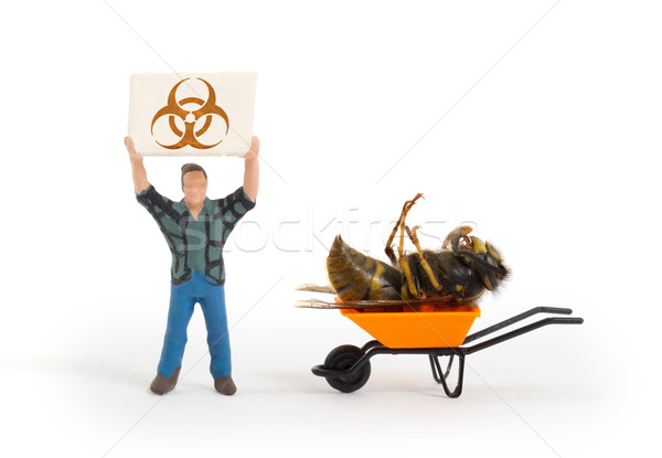 Miniature man with a sign - dead wasp Stock photo © michaklootwijk