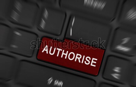 Auditoría texto rojo teclado botón financieros Foto stock © michaklootwijk
