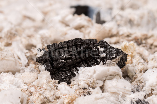 Stuk zwarte witte as hout Stockfoto © michaklootwijk