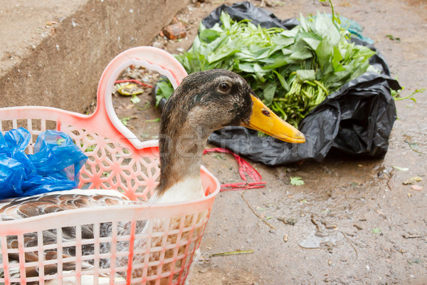 Pato consumo mercado mãos comida Foto stock © michaklootwijk