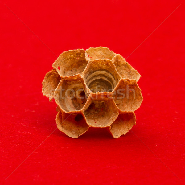 Herz unvollendet Bienenstock isoliert rot Essen Stock foto © michaklootwijk