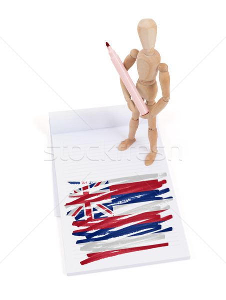 Holz Schaufensterpuppe Zeichnung Hawaii Flagge Körper Stock foto © michaklootwijk