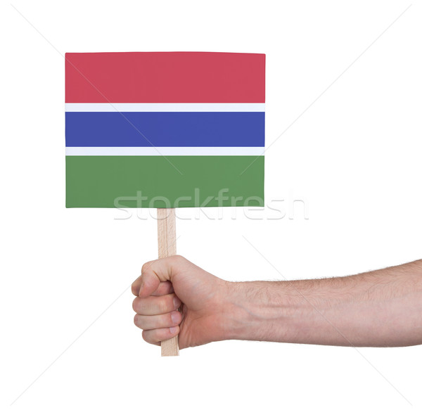 Kéz tart kicsi kártya zászló Gambia Stock fotó © michaklootwijk