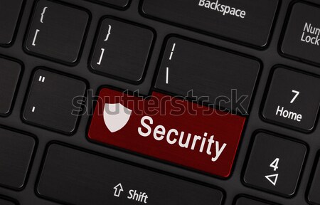 Closeup picture of Security button Stock photo © michaklootwijk