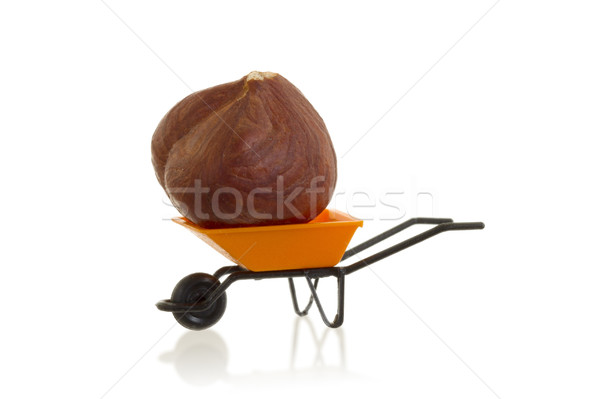 Orange wheelbarrow (miniature) with a hazelnut in it Stock photo © michaklootwijk