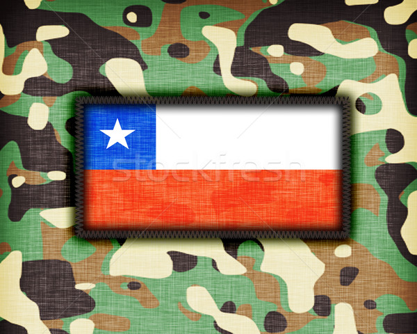 Amy camouflage uniform, Chile Stock photo © michaklootwijk