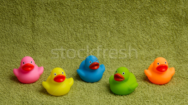 Rubber ducks isolated, with room for text Stock photo © michaklootwijk