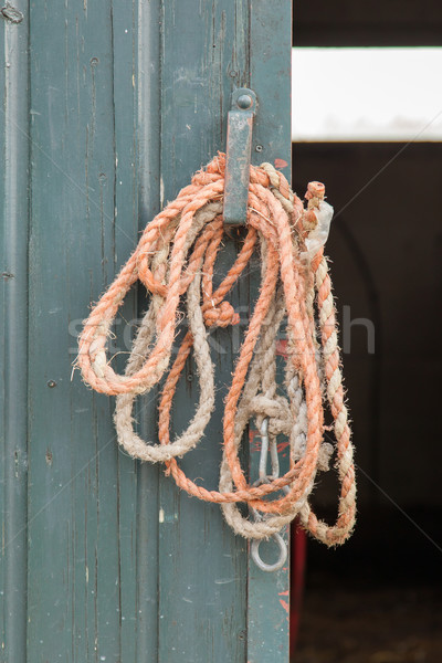 Stock fotó: öreg · kötél · akasztás · ajtó · holland · farm