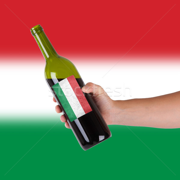 Mão garrafa vinho tinto etiqueta Hungria Foto stock © michaklootwijk