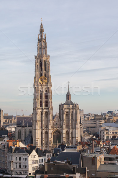 View over Antwerp with cathedral of our lady Stock photo © michaklootwijk