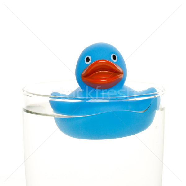 Blue duck Stock photo © michaklootwijk