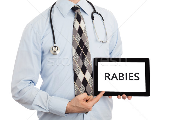 Doctor holding tablet - Rabies Stock photo © michaklootwijk