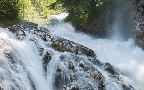 Wodospad lasu wody Szwajcaria słońce zielone Zdjęcia stock © michaklootwijk