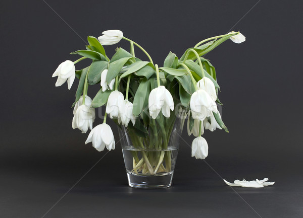 Vase full of droopy and dead flowers Stock photo © michaklootwijk