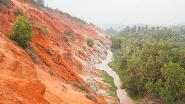 Ham Tien canyon in Vietnam, covert in fog Stock photo © michaklootwijk
