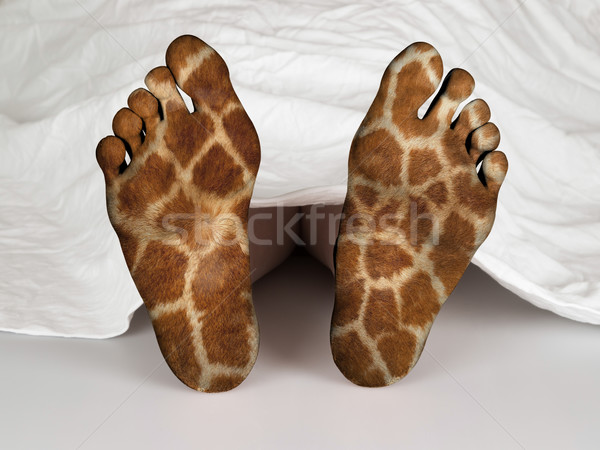Cadáver blanco hoja dormir muerte jirafa Foto stock © michaklootwijk