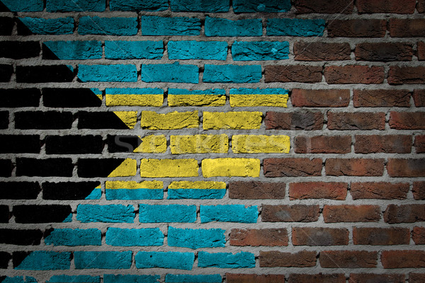 Escuro parede de tijolos Bahamas textura bandeira pintado Foto stock © michaklootwijk