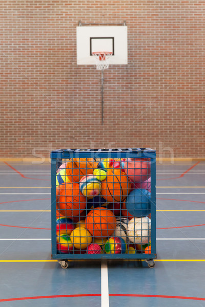 Stock foto: Sammlung · unterschiedlich · Kugeln · Metall · Käfig · Schule