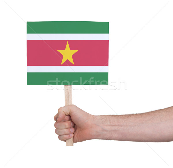 Kéz tart kicsi kártya zászló Suriname Stock fotó © michaklootwijk