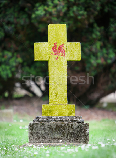 Vieux pierre tombale cimetière herbe cadre pierre Photo stock © michaklootwijk