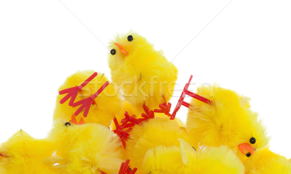 Overvloed Pasen kuikens selectieve aandacht geïsoleerd baby Stockfoto © michaklootwijk