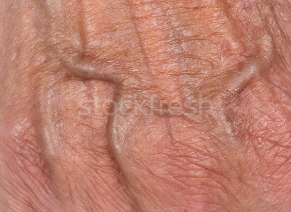 Hand of an old woman Stock photo © michaklootwijk