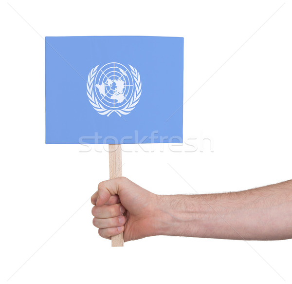 手 小 卡 旗 聯合國 商業照片 © michaklootwijk