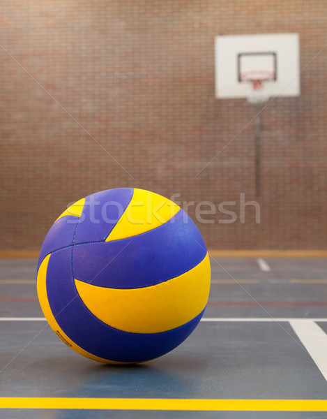 Blue and yellow ball on blue court at break time Stock photo © michaklootwijk