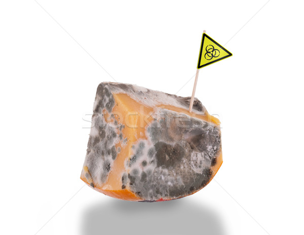 Piece of cheese gone bad Stock photo © michaklootwijk