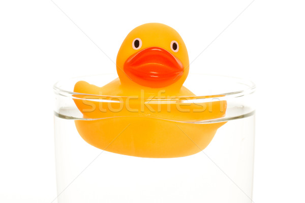 Orange duck Stock photo © michaklootwijk