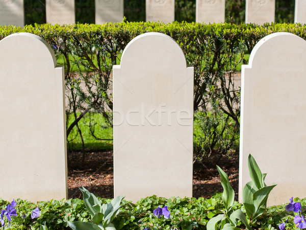 Rows of tombstones Stock photo © michaklootwijk