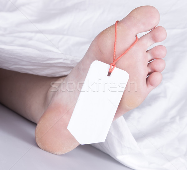 Cadáver dedo del pie etiqueta blanco hoja mujer Foto stock © michaklootwijk