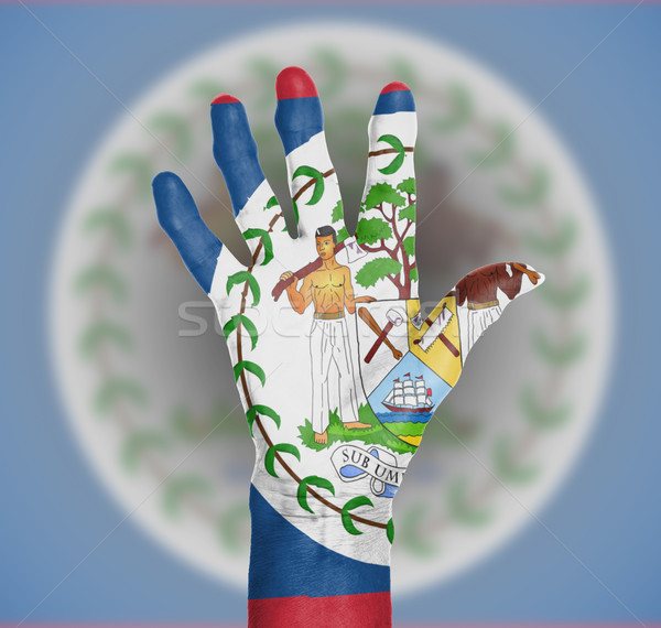 Palm donna mano verniciato bandiera Belize Foto d'archivio © michaklootwijk