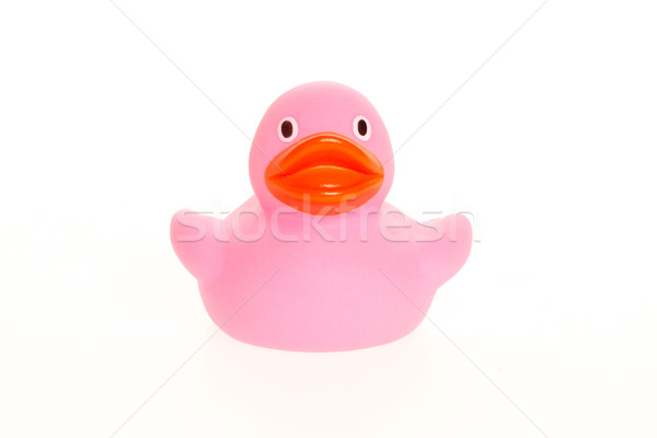 Pink duck isolated Stock photo © michaklootwijk