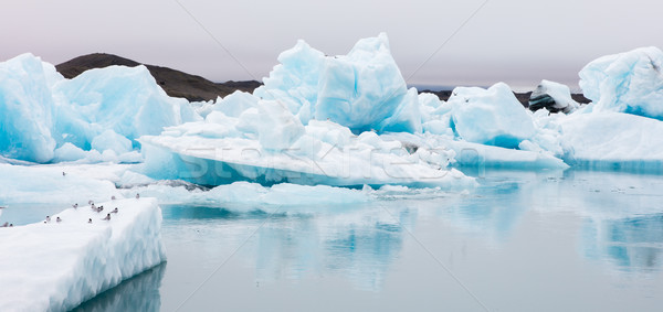 Jokulsarlon is a large glacial lake in southeast Iceland Stock photo © michaklootwijk