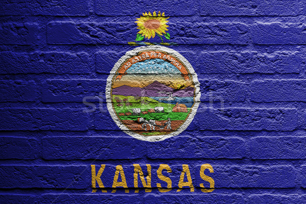 Murem malarstwo banderą Kansas odizolowany tekstury Zdjęcia stock © michaklootwijk