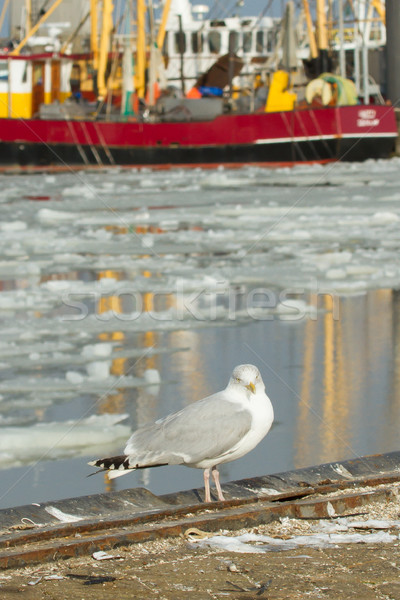 Fischerboot Wasser Natur Landschaft Meer Schnee Stock foto © michaklootwijk