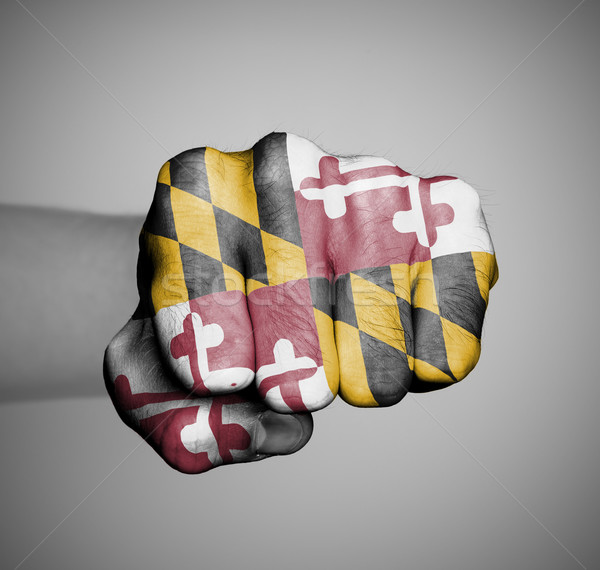 United states, fist with the flag of a state Stock photo © michaklootwijk