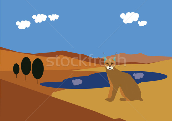 Krajobraz pustyni brązowy Zdjęcia stock © MichalEyal
