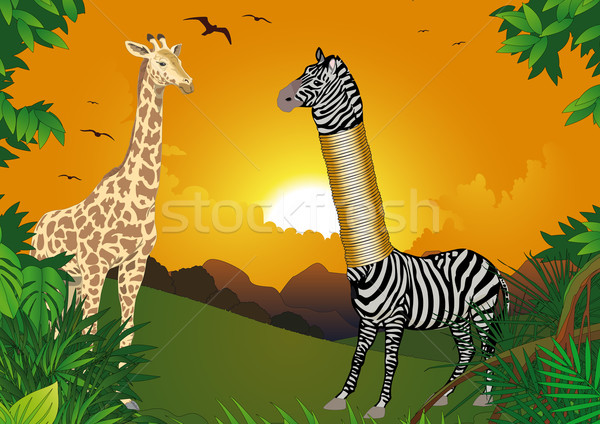 Zebra who wanted to be higher Stock photo © MichalEyal
