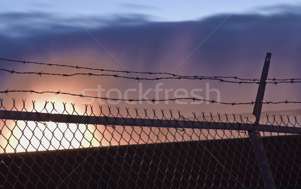 Alambre de púas vida alambre cerca puesta de sol amarillo Foto stock © michelloiselle
