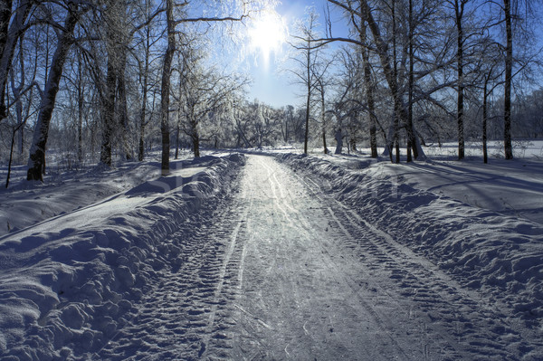 Zăpadă cale soare congelate parc Imagine de stoc © michey