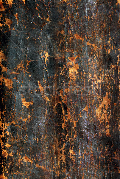 colored grunge background Stock photo © mikdam