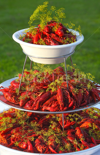 Boiled or steamed crawfish  Stock photo © mikdam