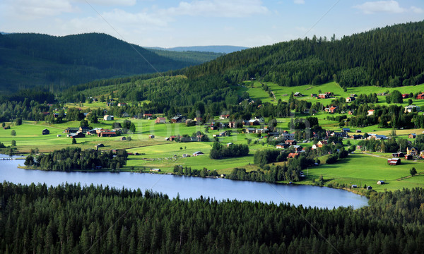Swedish landscape Stock photo © mikdam