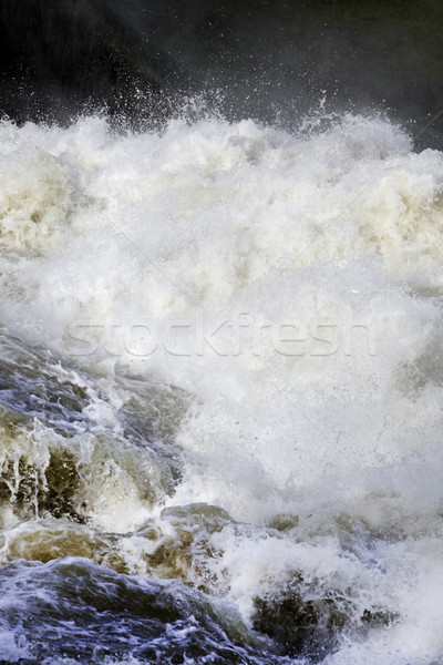 Rushing Water Stock photo © mikdam