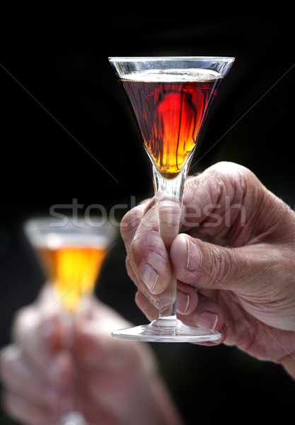 Szeszes ital üveg Svédország közelkép buli nyár Stock fotó © mikdam
